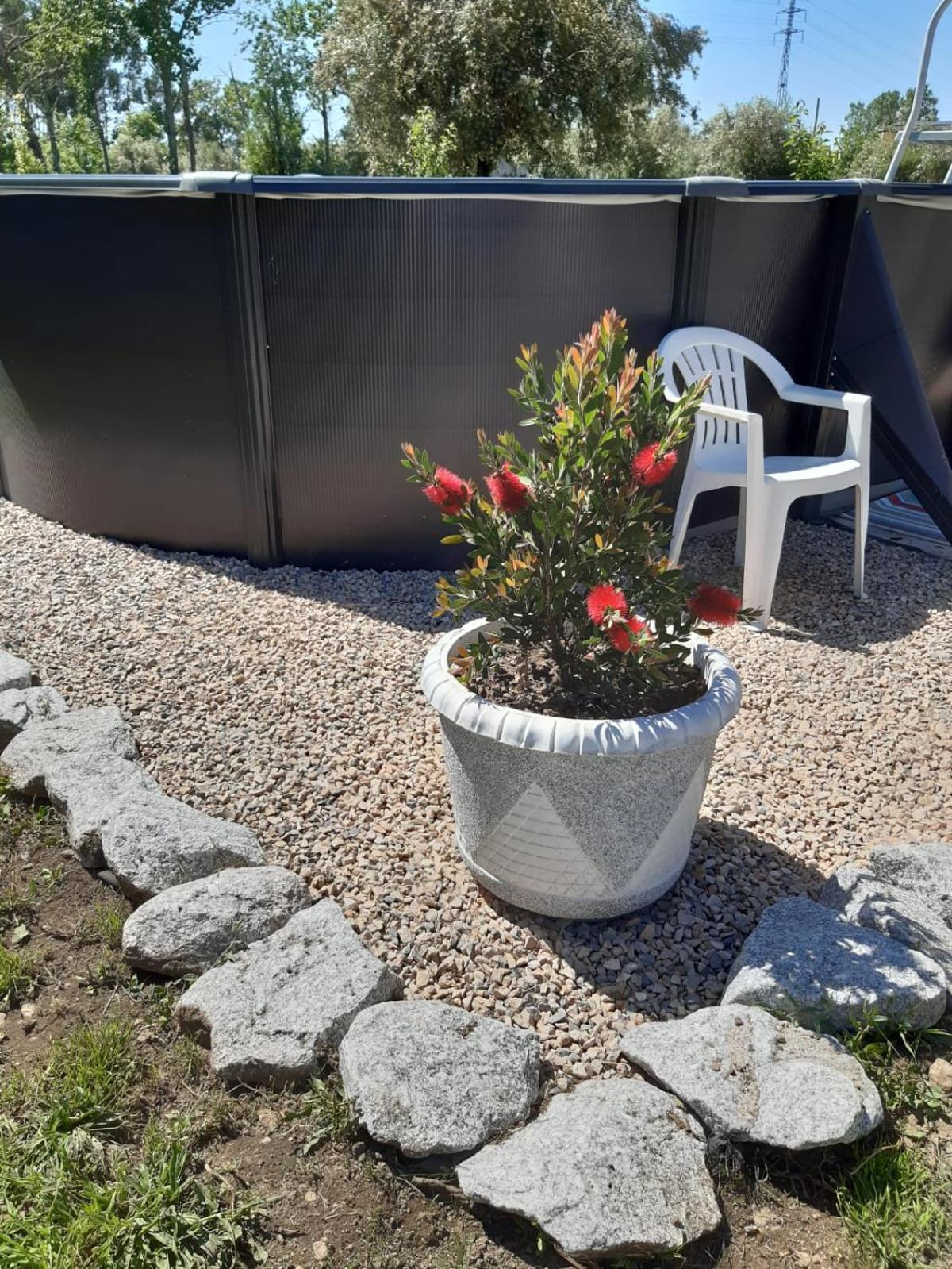 Tábua Casa Curral Do Porco 빌라 외부 사진